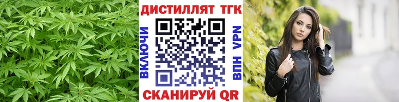 закладка Терек Дистиллят ТГК вейп